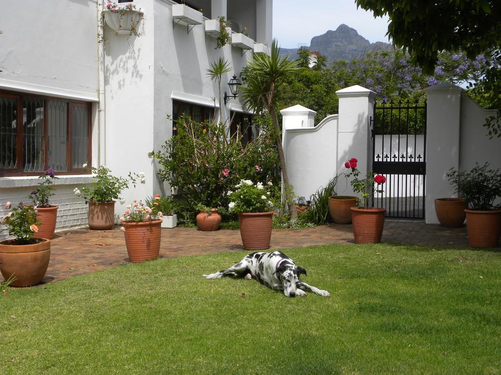 Applegarth B&B And Self-Catering Studios Cape Town Bagian luar foto