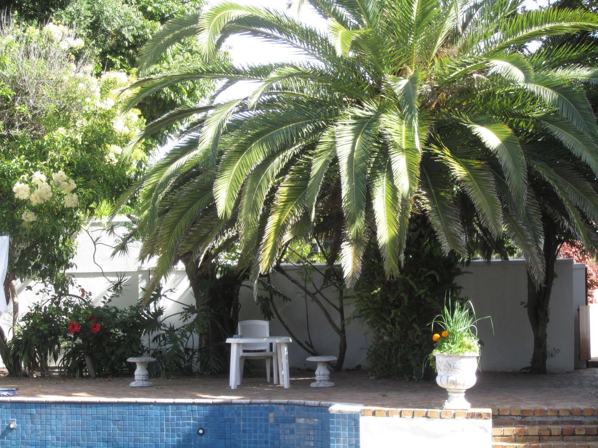 Applegarth B&B And Self-Catering Studios Cape Town Bagian luar foto